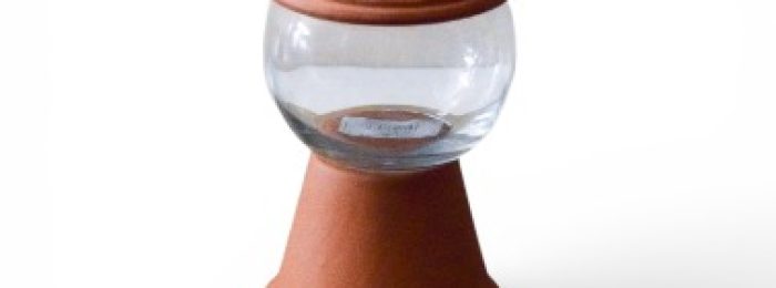 Photoroom_20260127_163207