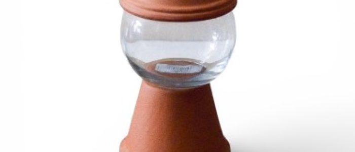 Photoroom_20260127_163207