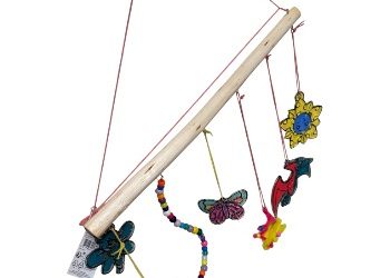 Photoroom_20260223_165851